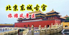 大,鸡巴插女人小视频中国北京-东城古宫旅游风景区